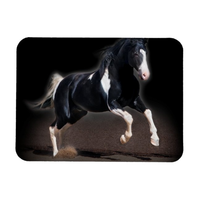 Horse Portrait VIII Magnet (Horizontal)