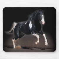 Horse Portrait VIII