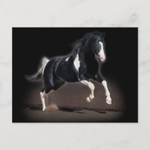 Horse Portrait VIII Postcard