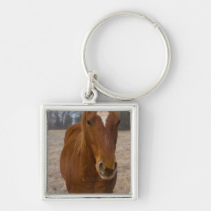 Horse pose key ring