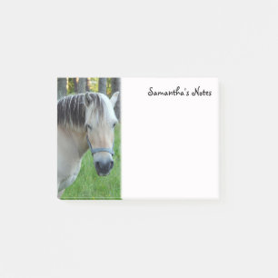 Horse Post-It Notes