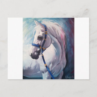 Horse Postcard