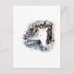 Horse Postcard