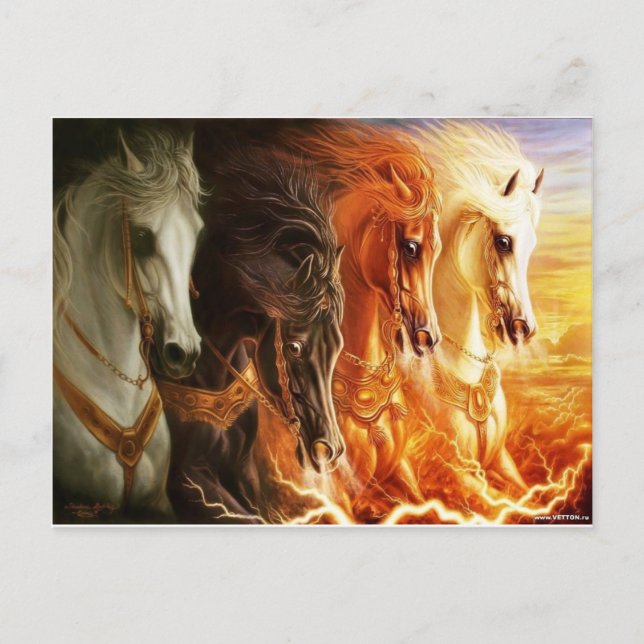 Horse Postcard (Front)