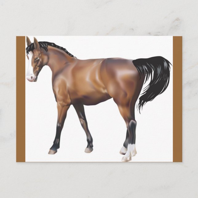 Horse Postcard (Front)
