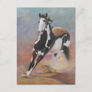 horse postcard