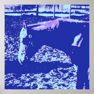 Horse Poster