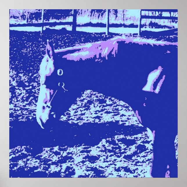 Horse Poster (Front)