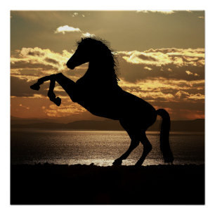 horse poster