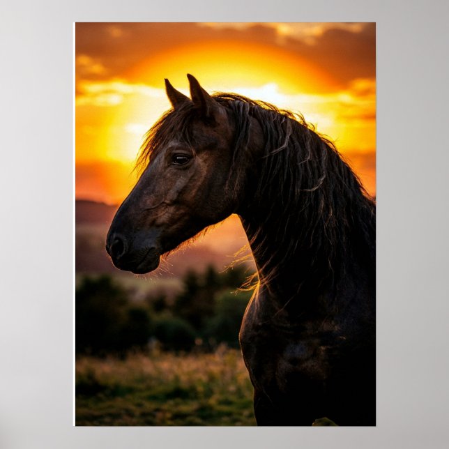 Horse Poster Equestrian Art (Front)