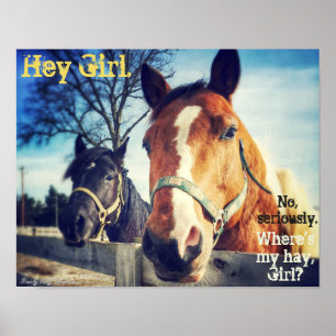 Horse Poster: "Hey Girl." Poster