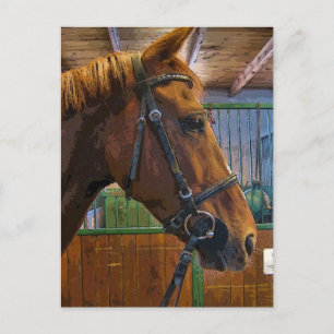Horse Poster Postcard