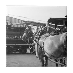 Horse Power and Steam Power Tile