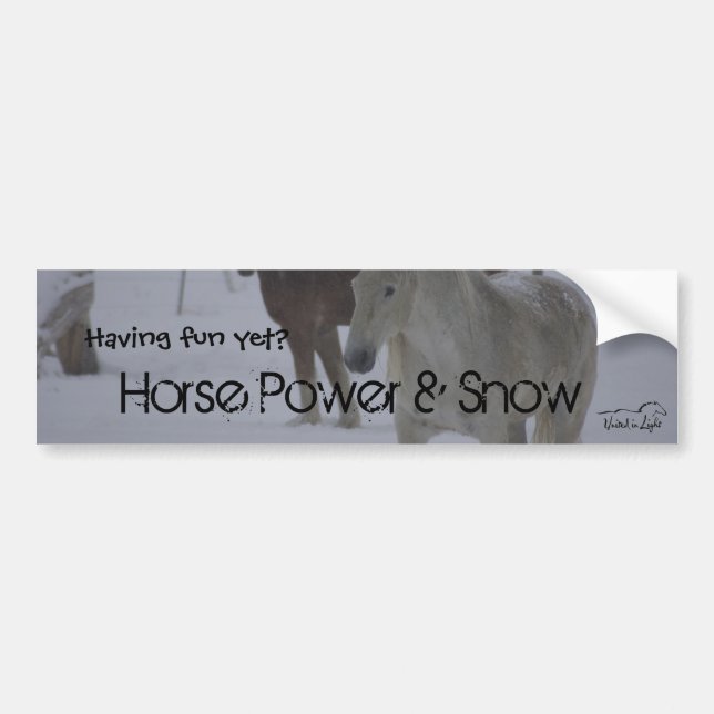Horse Power & Snow, Having fun yet? Bumper Sticker (Front)