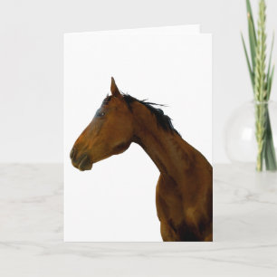 Horse Profile Greeting & Note Cards