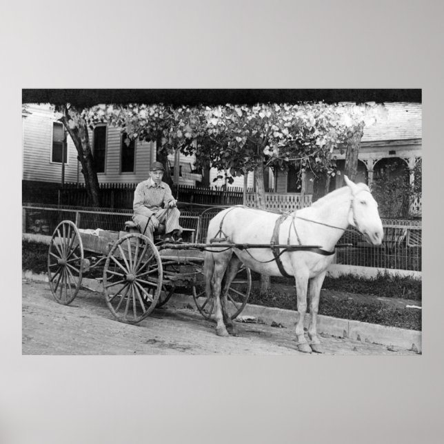 Horse pulling Delivery Wagon Photograph Poster (Front)