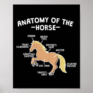Horse Pun Anatomy Of Horse Horseback Riding Equest Poster
