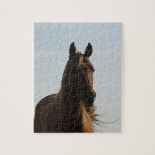 Horse puzzle