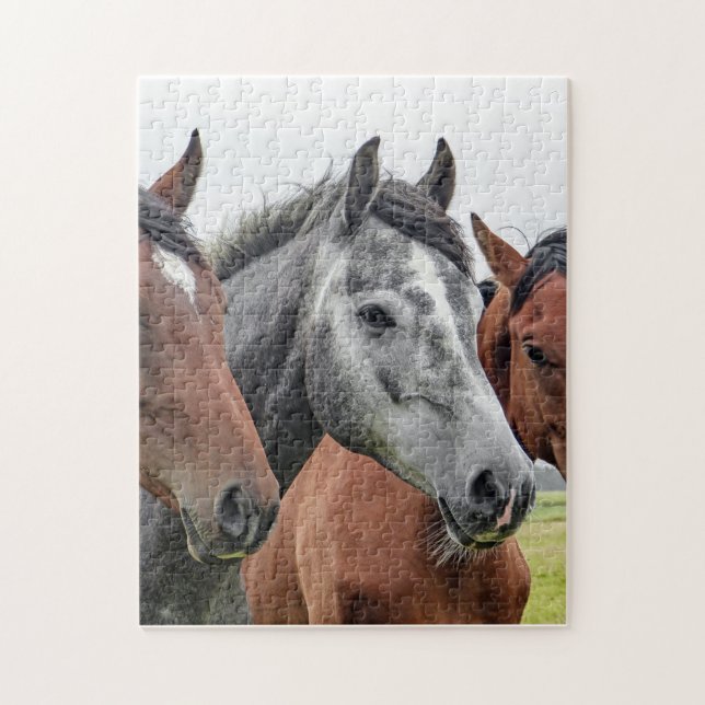 Horse Puzzle (Vertical)