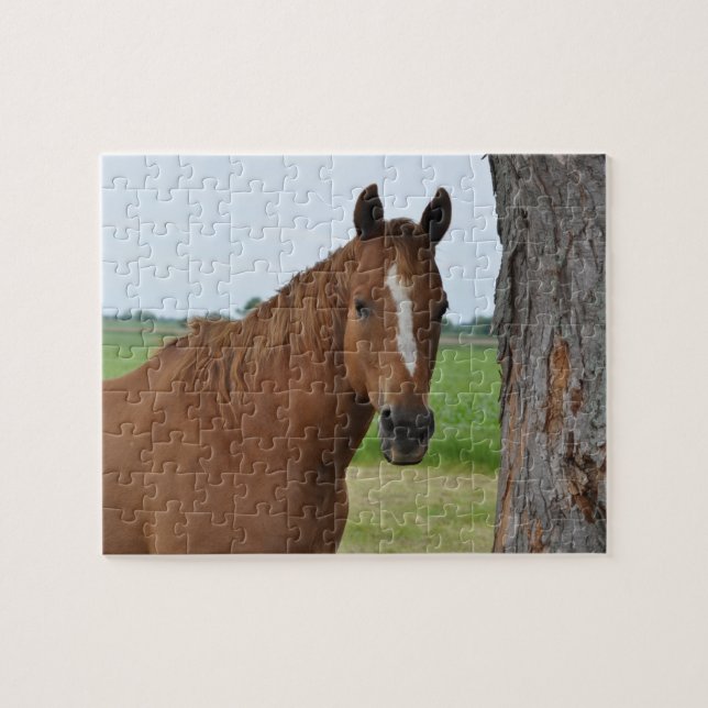 Horse Puzzle (Horizontal)