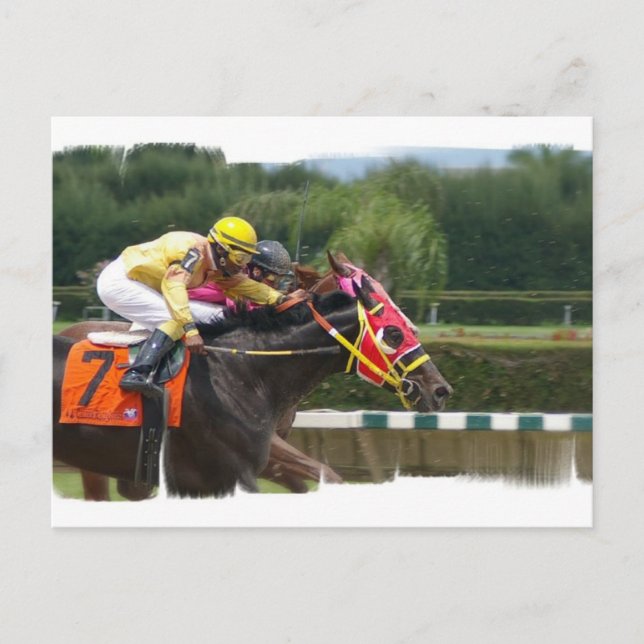 Horse Race Finish Postcard (Front)