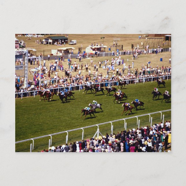 Horse racing postcard (Front)
