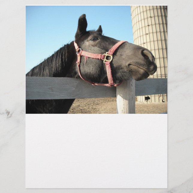 Horse/Ranch/Barn (Front)
