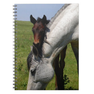 Horse Ranch Farm Destiny Nature Background Spiral Notebook