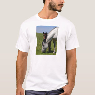 Horse Ranch Farm Destiny Nature Background T-Shirt