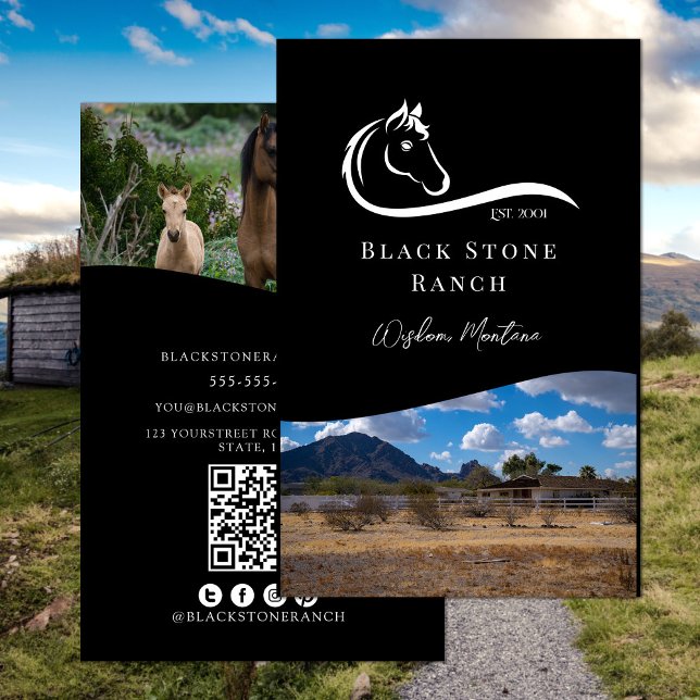 Horse ranch logo equestrian branding address flyer (Horse ranch logo equestrian branding address flyer)
