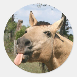 horse razzberry sticker
