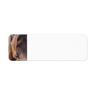 Horse return address labels