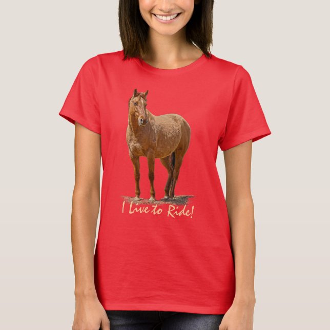 Horse-riders Equine Designer Apparel T-Shirt (Front)