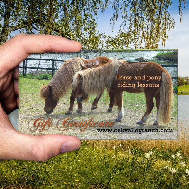 Horse Riding Lessons Gift Certificate Template (Gift certificate template for horse or pony riding lessons - equestrian - equine)