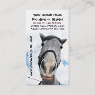 Horse Riding Stables or Boarding Services Business Card