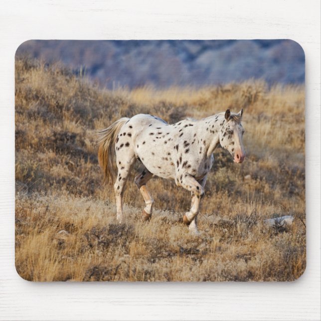 Horse Roaming the Scenic Hills of the Big Horn Mouse Pad (Front)