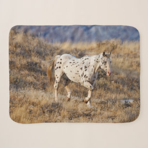 Horse Roaming the Scenic Hills of the Big Horn Sherpa Blanket