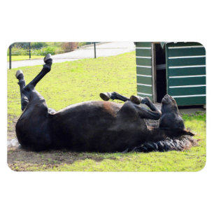 Horse rolling Flexible Magnet