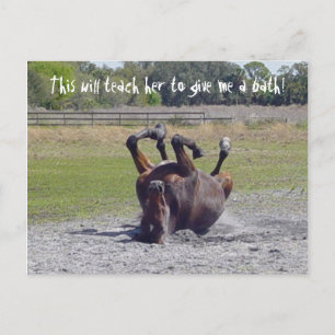 Horse Rolling Postcard