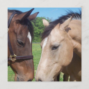 Horse Romance Invitation