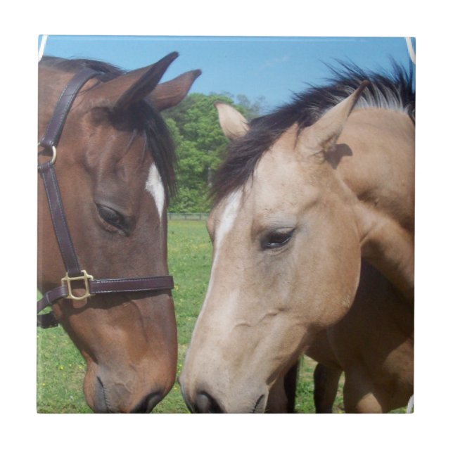Horse Romance Tile (Front)