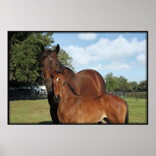 Horse Royale Poster -60x40 -click for smaller
