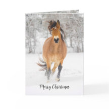 Horse Running in Snow Folded Holiday Card