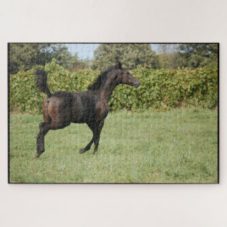 Horse Running in the field Jigsaw Puzzle