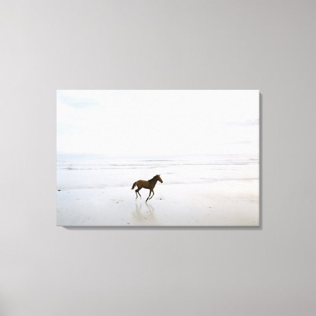 Horse running on the beach canvas print (Front)