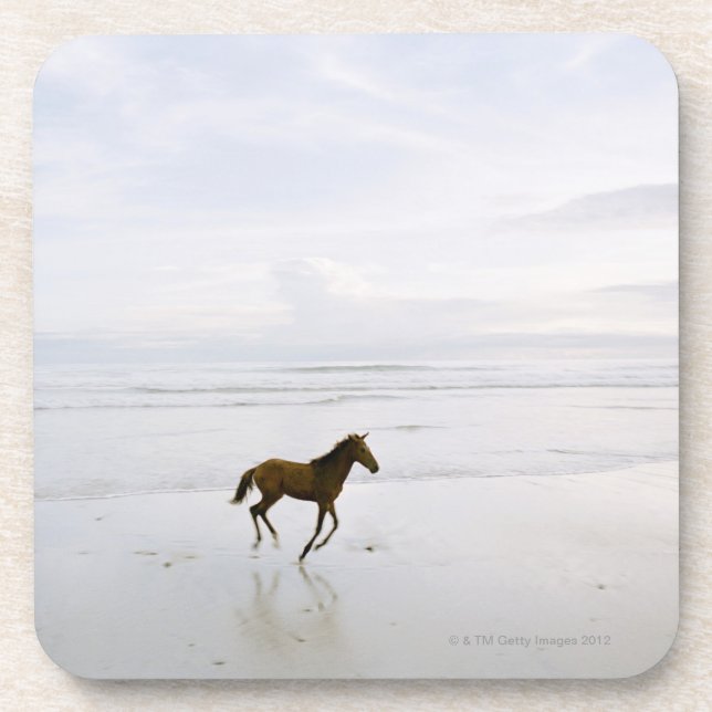 Horse running on the beach coaster (Front)