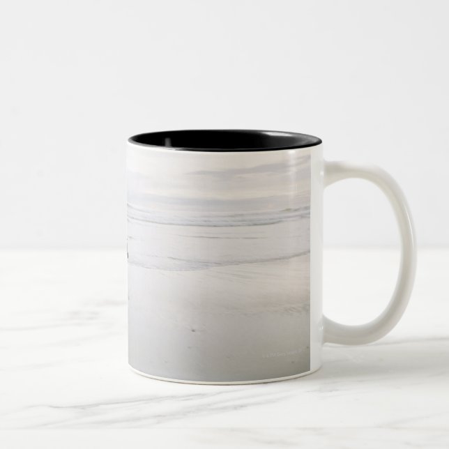 Horse running on the beach Two-Tone coffee mug (Right)