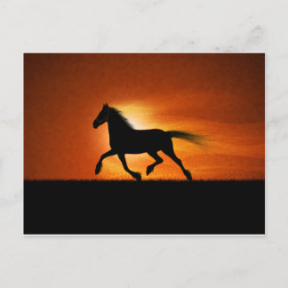 Horse Running Postcard