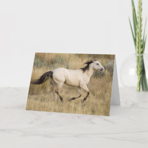 Horse Running Through Prairie Grass Card