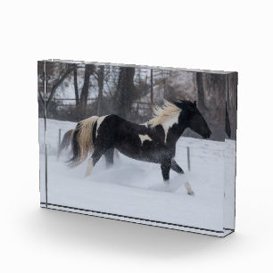 Horse Running Through the Snow Photo Block